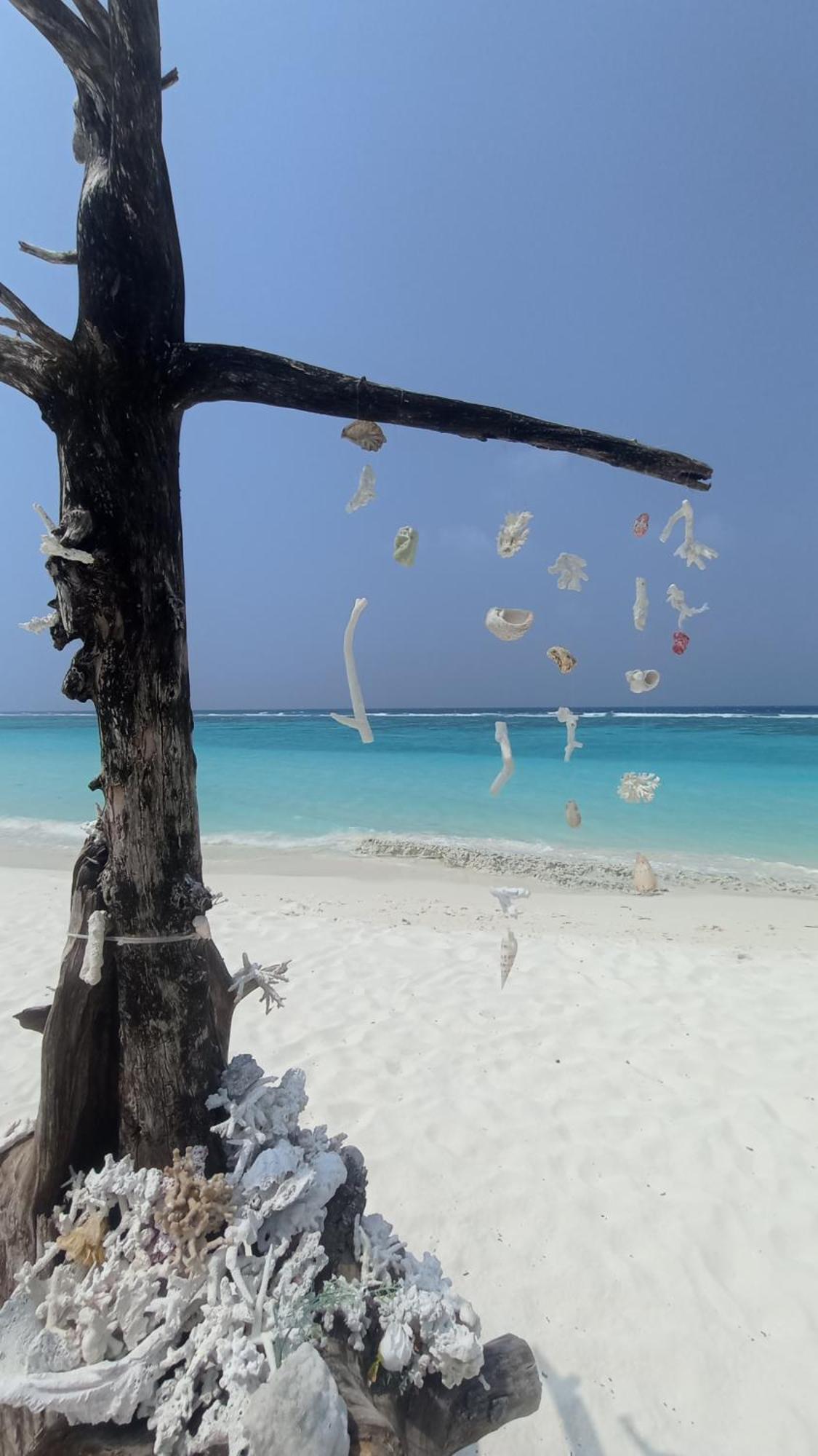 Ahiva Village Fulhadhoo Exteriör bild