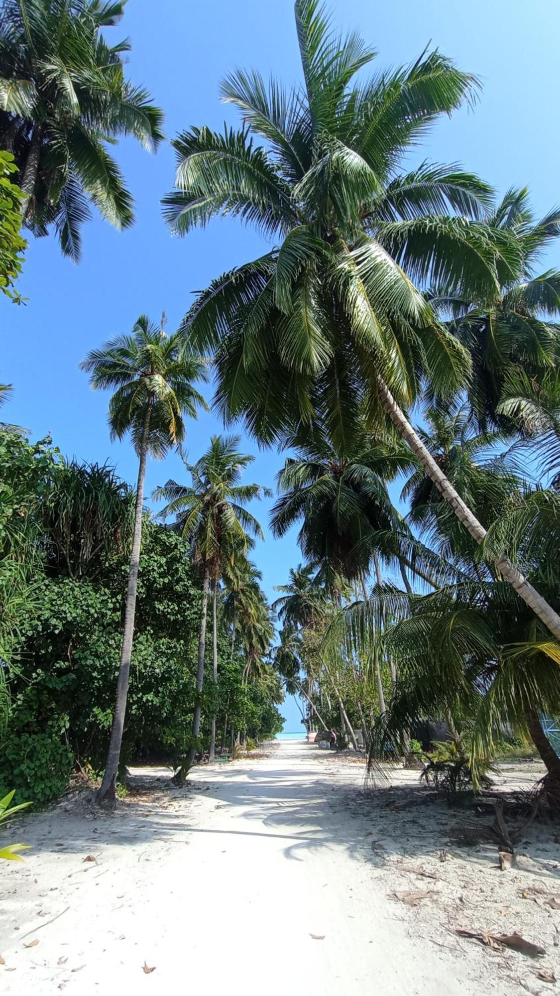 Ahiva Village Fulhadhoo Exteriör bild
